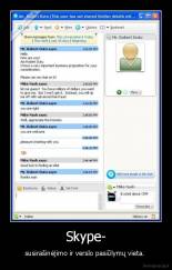 Skype- - susirašinėjimo ir verslo pasiūlymų vieta. 