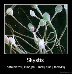 Skystis  - patalpintas į kūną po 8 metų eina į mokyklą.