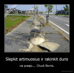 Slepkit artimuosius ir rakinkit duris - cia praejo.... Chuck Norris.