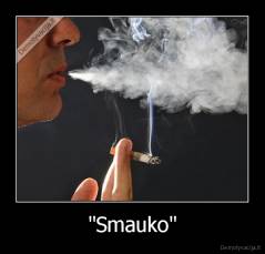 "Smauko" - 