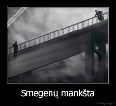 Smegenų mankšta - 