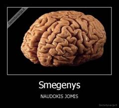 Smegenys - NAUDOKIS JOMIS