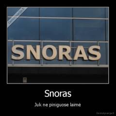 Snoras - Juk ne piniguose laimė