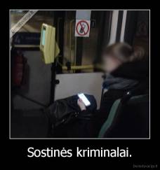 Sostinės kriminalai. - 