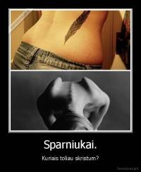 Sparniukai. - Kuriais toliau skristum?