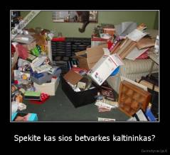 Spekite kas sios betvarkes kaltininkas? - 