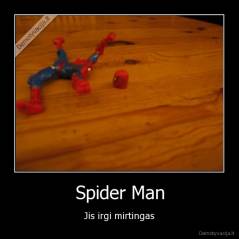 Spider Man - Jis irgi mirtingas