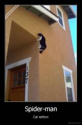 Spider-man - Cat edition