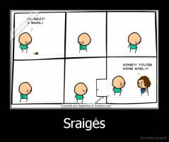 Sraigės - 