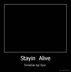 Stayin  Alive - Dviračiai irgi Gyvi.