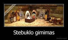 Stebuklo gimimas - 