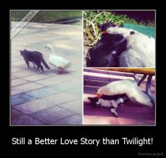 Still a Better Love Story than Twilight! - 