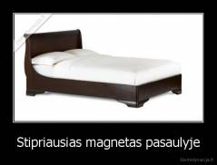 Stipriausias magnetas pasaulyje - 