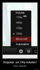 Striginėja  ant 240p kokybės? - Rinkis - Minecraft!