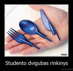 Studento dvigubas rinkinys - 