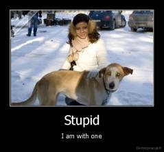 Stupid - I am with one