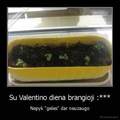 Su Valentino diena brangioji :*** - Nepyk "geles" dar neuzaugo