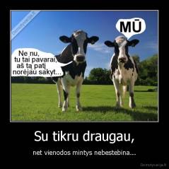 Su tikru draugau, - net vienodos mintys nebestebina...