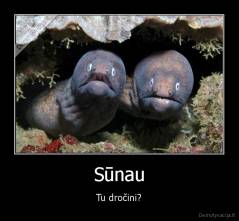 Sūnau - Tu dročini?