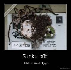 Sunku būti - Elektriku Australijoje