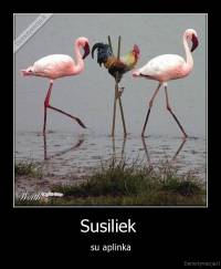 Susiliek  - su aplinka