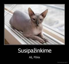 Susipažinkime - Aš, Pūkis