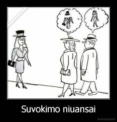 Suvokimo niuansai - 