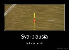 Svarbiausia - laiku ištraukti