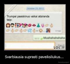 Svarbiausia suprasti paveiksliukus...  - 