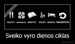 Sveiko vyro dienos ciklas - 