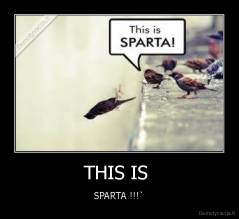 THIS IS  - SPARTA !!!`