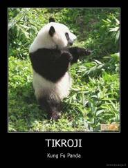 TIKROJI - Kung Fu Panda