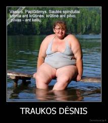 TRAUKOS DĖSNIS - 