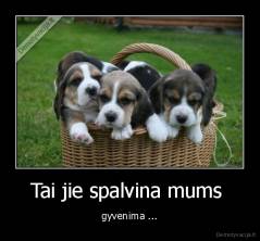 Tai jie spalvina mums  - gyvenima ...