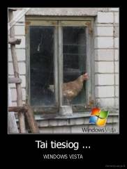 Tai tiesiog ... - WINDOWS VISTA