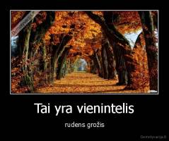 Tai yra vienintelis - rudens grožis