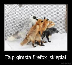 Taip gimsta firefox įskiepiai - 