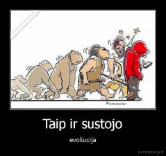 Taip ir sustojo - evoliucija