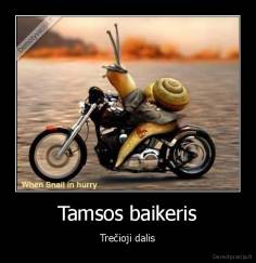 Tamsos baikeris - Trečioji dalis