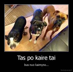 Tas po kaire tai - bus nuo kaimyno...