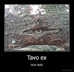 Tavo ex - tave stebi