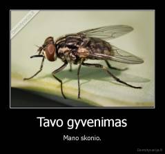 Tavo gyvenimas - Mano skonio.