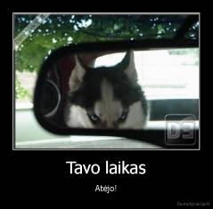 Tavo laikas - Atėjo!