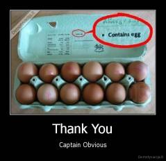 Thank You - Captain Obvious