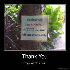 Thank You - Captain Obvious