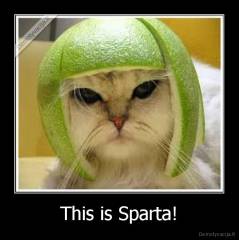 This is Sparta! - 