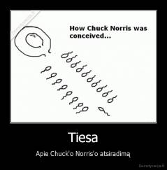 Tiesa - Apie Chuck'o Norris'o atsiradimą