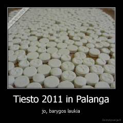 Tiesto 2011 in Palanga - jo, barygos laukia