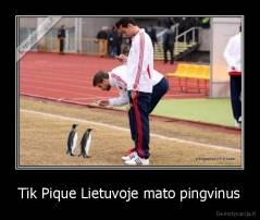 Tik Pique Lietuvoje mato pingvinus - 