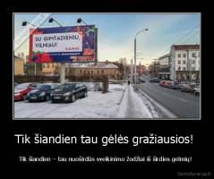 Tik šiandien tau gėlės gražiausios!  - Tik šiandien – tau nuoširdūs sveikinimo žodžiai iš širdies gelmių! 